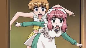 Episodio 11