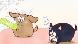 Episodio 5