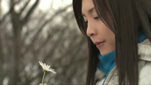 薔薇のない花屋 — foto 2