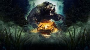 Grizzly Night — foto 12