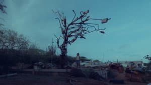 Buladó — foto 2