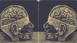 Lobotomy, or the Blinding Creation of Moniz — foto 1