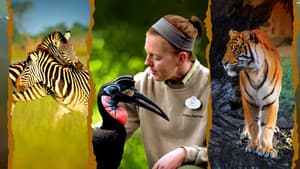 La Magia de Animal Kingdom de Disney — foto 1