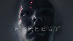 Perfect — foto 7