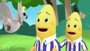 Episodio 75