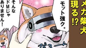 Episodio 42