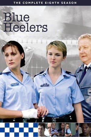 Temporada 8