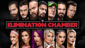 WWE Elimination Chamber 2018 — foto 2