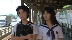 セーラー服 百合族 — foto 1