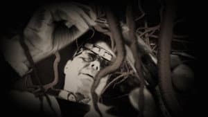 The Worm Hunters — foto 4