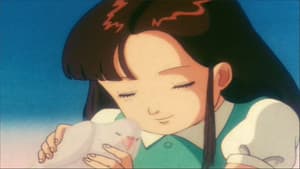 Episodio 41