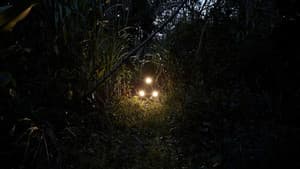 El sistema — foto 1