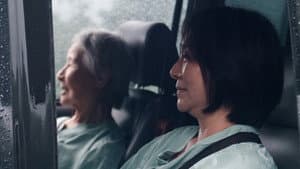 貓與雞 — foto 1