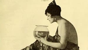 Vera, the Medium — foto 1
