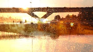 ADN — foto 2