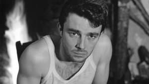 Le Beau Serge — foto 6