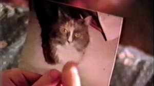 Hallucinations — foto 6