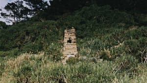 綠色牢籠 — foto 7