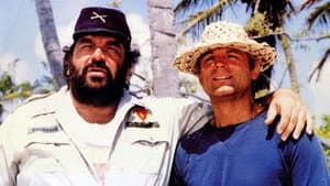 Quien encuentra un amigo, encuentra un tesoro — foto 4