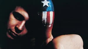 Don McLean: American Pie — foto 1