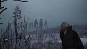 The Cold Dark — foto 1