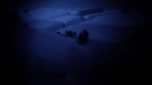 Polar Nights — foto 1