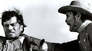 The Desperados — foto 6
