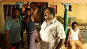 தெரு நாய்கள் — foto 2