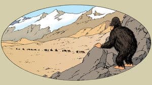 Las aventuras de Tintín — foto 3