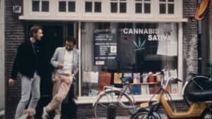 Narcotrafic, le poison de l’Europe — foto 4
