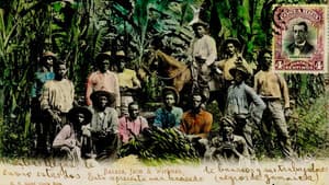 La Loi de la banane — foto 2