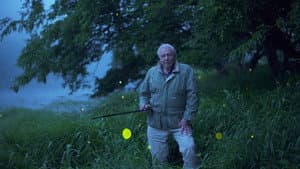 Attenborough's Life That Glows — foto 3