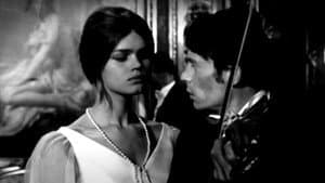 Pavoncello — foto 1