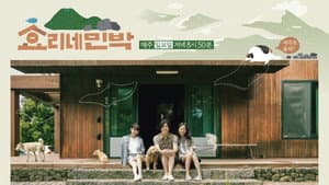 효리네 민박 — foto 8