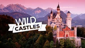Wild Castles — foto 2