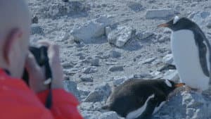 Let's go to Antarctica! — foto 3