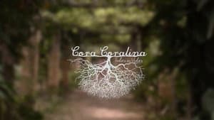 Cora Coralina: Todas as Vidas — foto 1