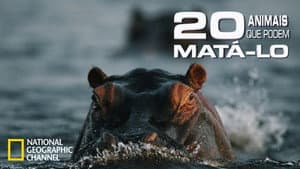 20 Animals That Will Kill You — foto 4