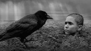 The Painted Bird — foto 10