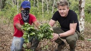 Gordon Ramsay on Cocaine — foto 2