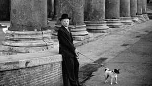 Umberto D. — foto 4