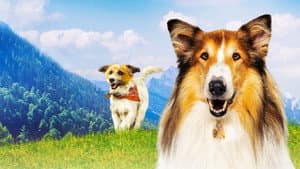 Lassie: Una nueva aventura — foto 10