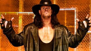 WWE Hell in a Cell 2009 — foto 1