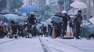 尋路衝衝 — foto 1