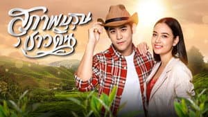 សុភាពបុរសកម្សត់ — foto 1