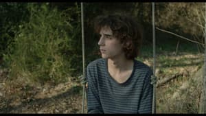 Trenc d'alba — foto 4