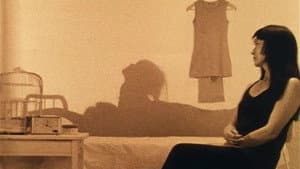 二頭女  影の映画 — foto 1
