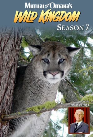 Temporada 7