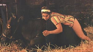 Bodil Joensen - en sommerdag juli 1970 — foto 1