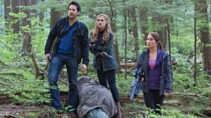 Episodio 7